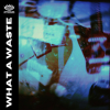 Roher Grunge-Rock mit melancholischer Kante - Twin Mill veröffentlichen: What a Waste