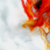NEVERTEL: Neues Album und neues Musikvideo