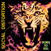 SOCIAL DISTORTION - Born To Kill - out now!