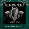FLOGGING MOLLY - Album: - Anthem - im September, neue Single ab sofort!