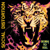 SOCIAL DISTORTION - BORN TO KILL