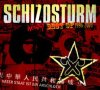 SCHIZOSTURM - Worst Best Of