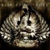 RISE FROM ABOVE - PHOENIX