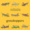 Mizzle - Grasshoppers