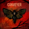 CONVEYER - when given time to grow